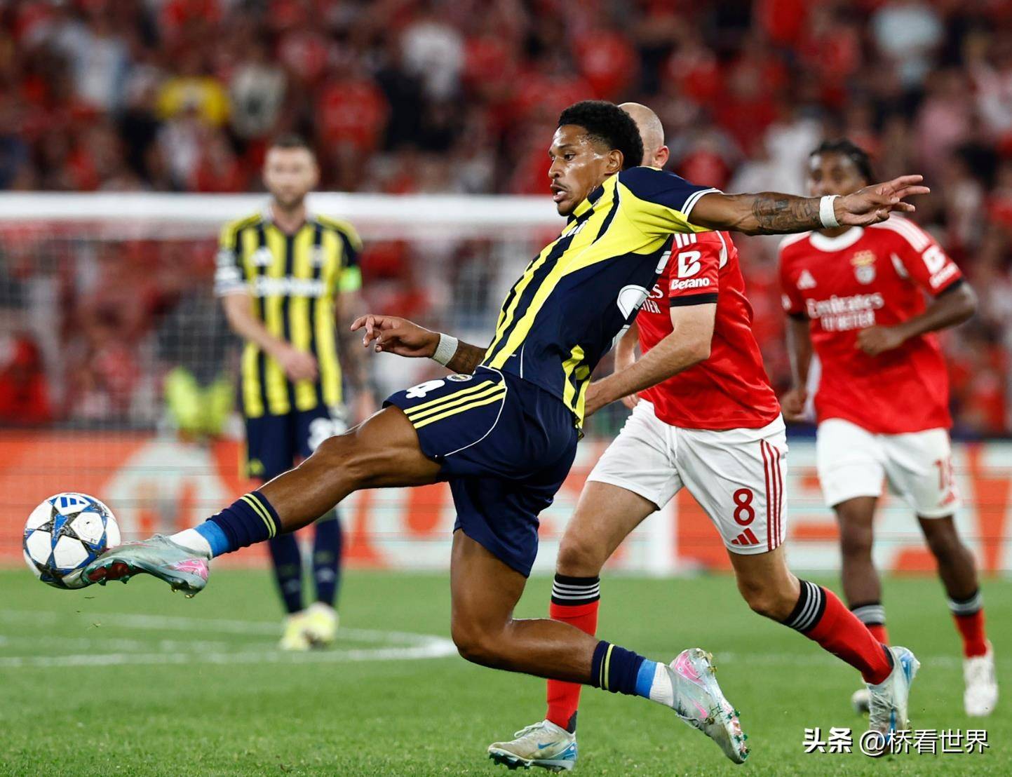 纽卡斯尔联与布伦特福德的对决 纽卡斯尔联与布伦特福德的对决